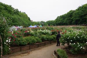 与野公園3