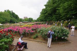 与野公園4