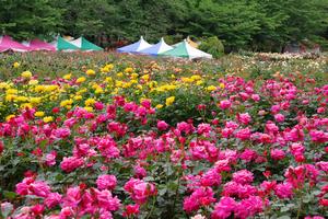 与野公園7