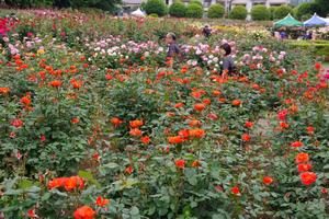 与野公園19
