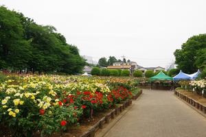 与野公園21