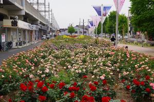 駅前公園7