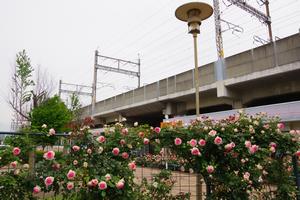 駅前公園9