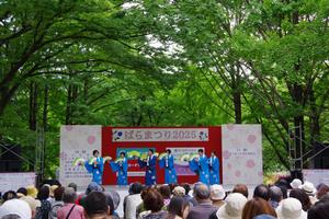 ステージ8