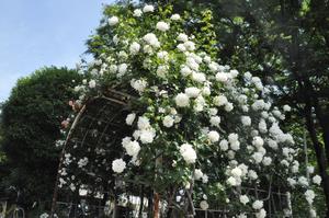 与野公園5