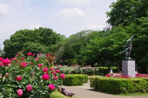 与野公園20