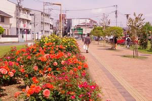 駅前公園9