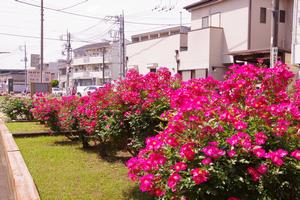 駅前公園12