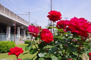 駅東口9