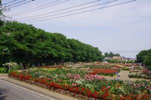 与野公園1