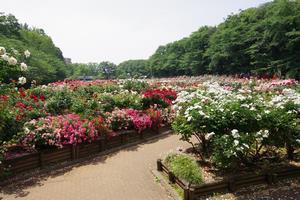 与野公園3