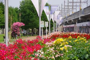 駅前公園3