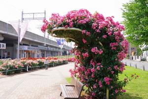 駅前公園4