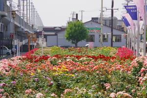 駅前公園5