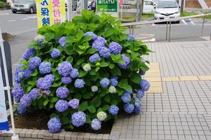 与野郵便局