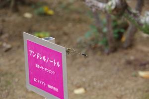 与野公園11