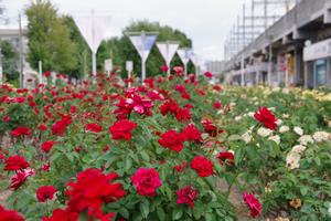 駅前公園2