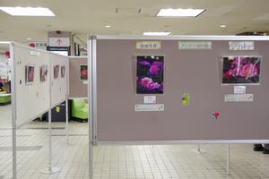 バラコンロビー展示2