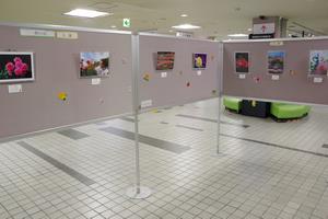 バラコンロビー展示3