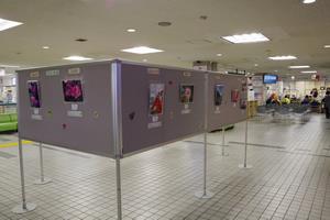 バラコンロビー展示5