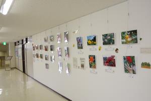 バラコンロビー展示9