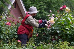 バラコン表彰式5