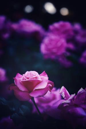 バラコン表彰式6