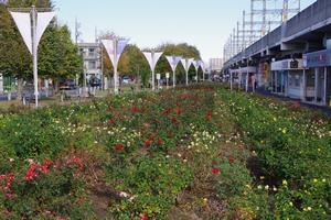 駅前公園1駅前公園