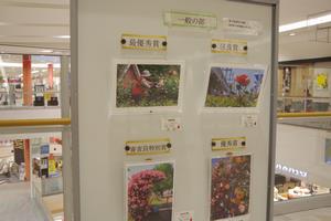 イオン展示2