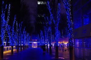 けやきひろばのイルミネーション5