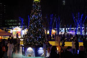 けやきひろばのイルミネーション9