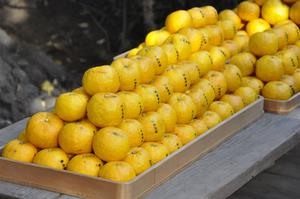 一山神社冬至祭2