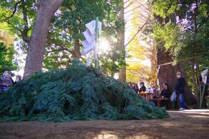 一山神社冬至祭3