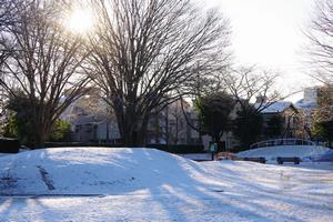与野公園雪2