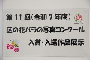 写真コン常設展示1