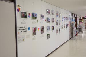 写真コン常設展示2