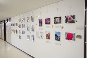 写真コン常設展示3