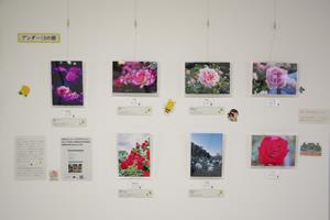 写真コン常設展示5