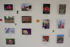 写真コン常設展示6