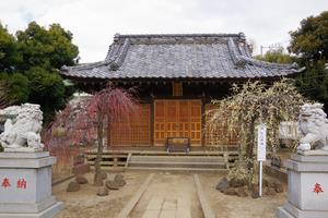 梅　鈴谷天神社1