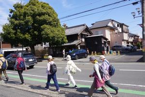 ウォーキング12