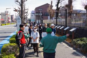 ウォーキング20