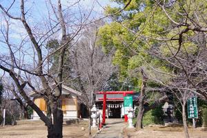 ウォーキング31