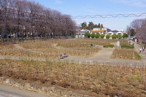 ウォーキング32