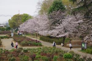 与野公園2