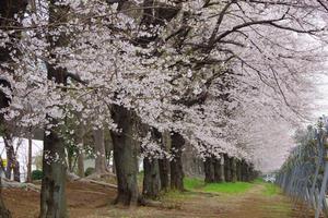 与野公園5