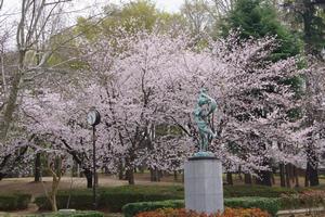 与野公園9