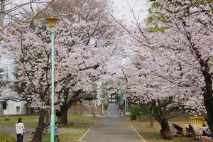 与野公園10