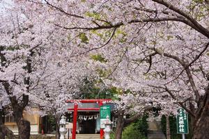 与野公園13