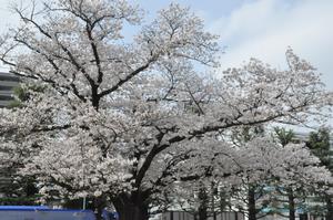 上落合公園1